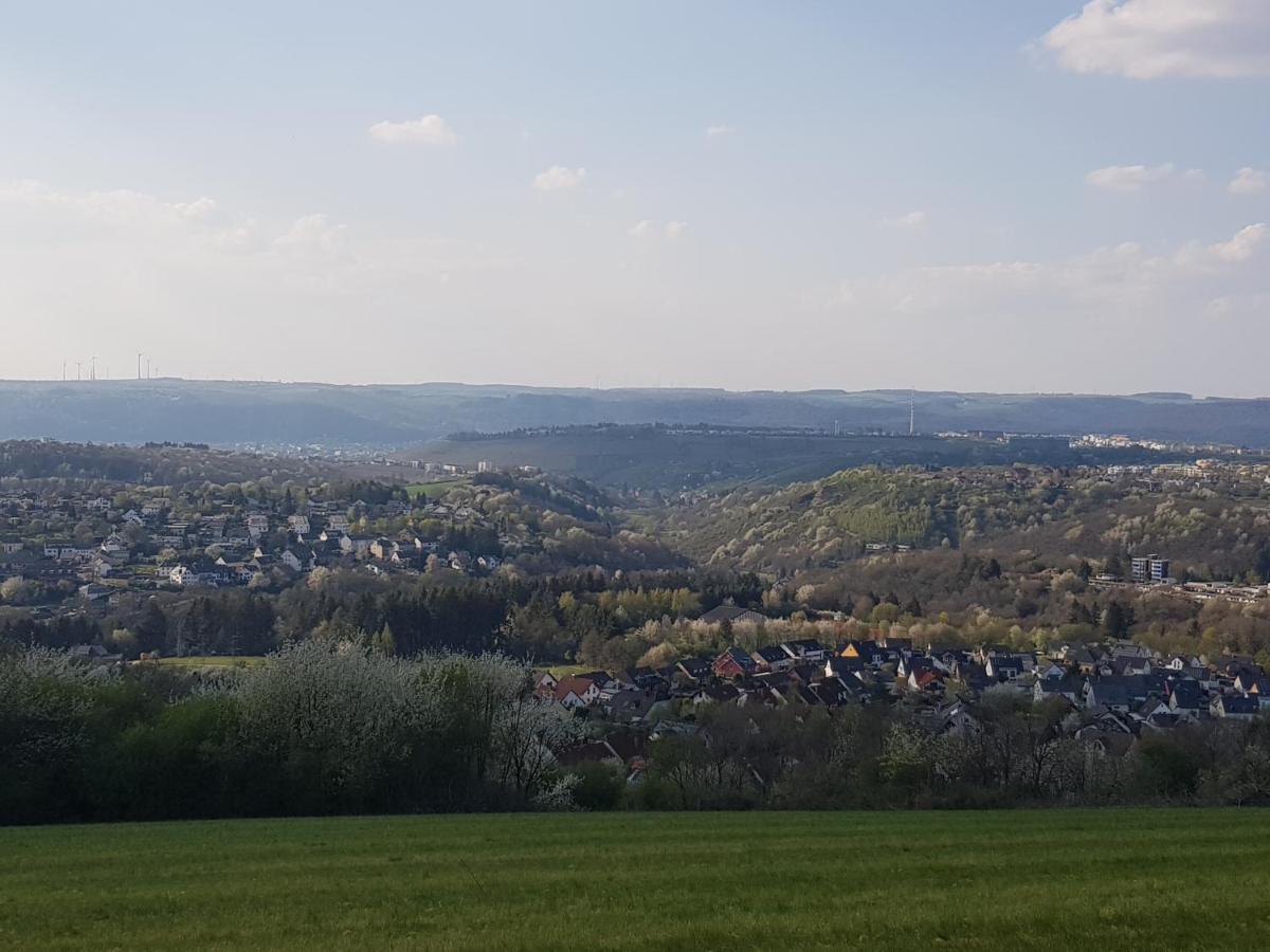 Ferienapartment Im Augustinus Park Trier Luaran gambar